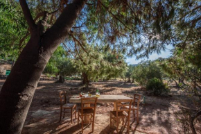 Casina ai Fraginesi